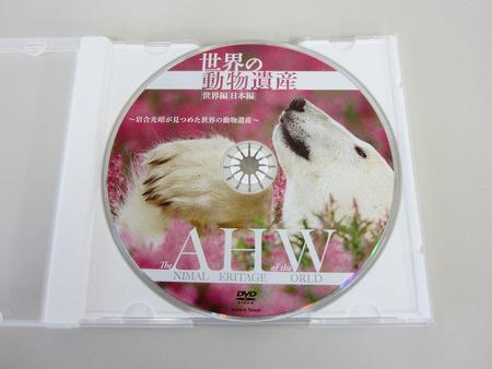 岩合光昭DVD